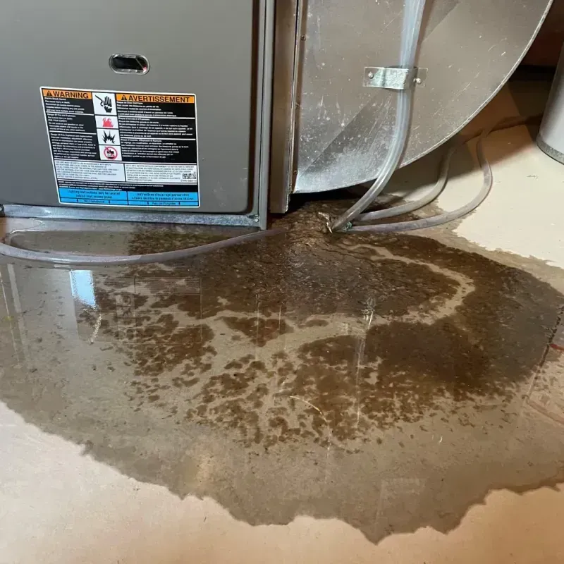 Appliance Leak Cleanup in Stallion Springs, CA